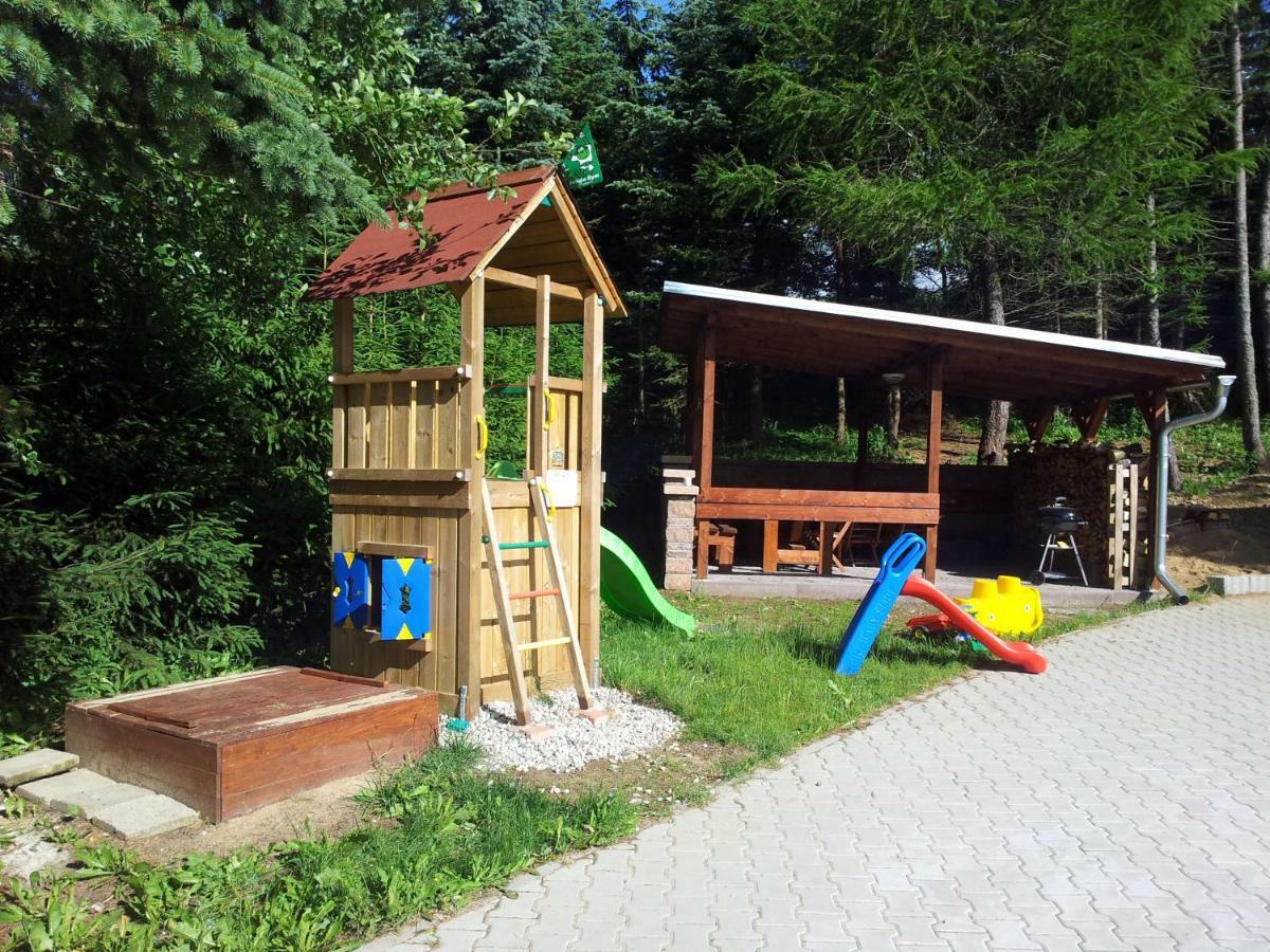 Aparthotel Ferienhaus Iva - Klinovec Loučná pod Klínovcem Exterior foto