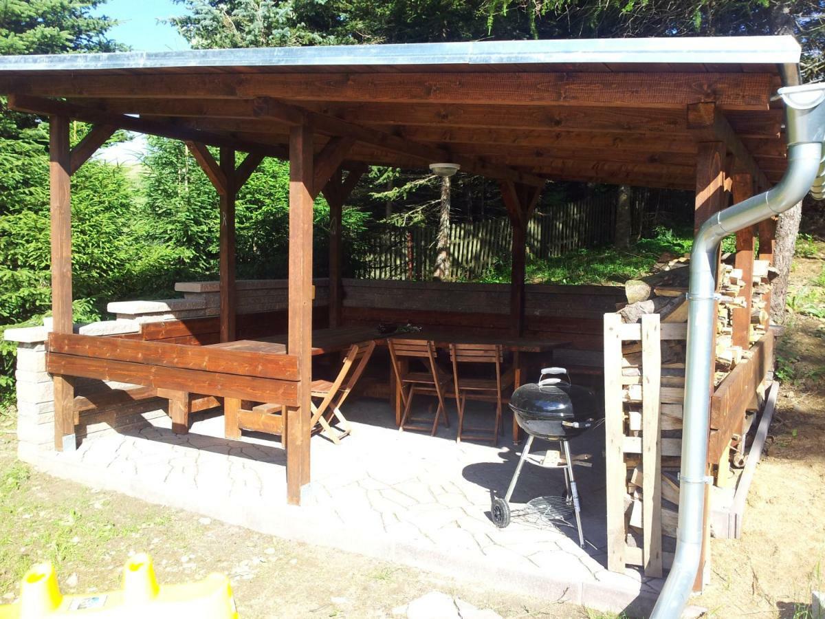Aparthotel Ferienhaus Iva - Klinovec Loučná pod Klínovcem Exterior foto