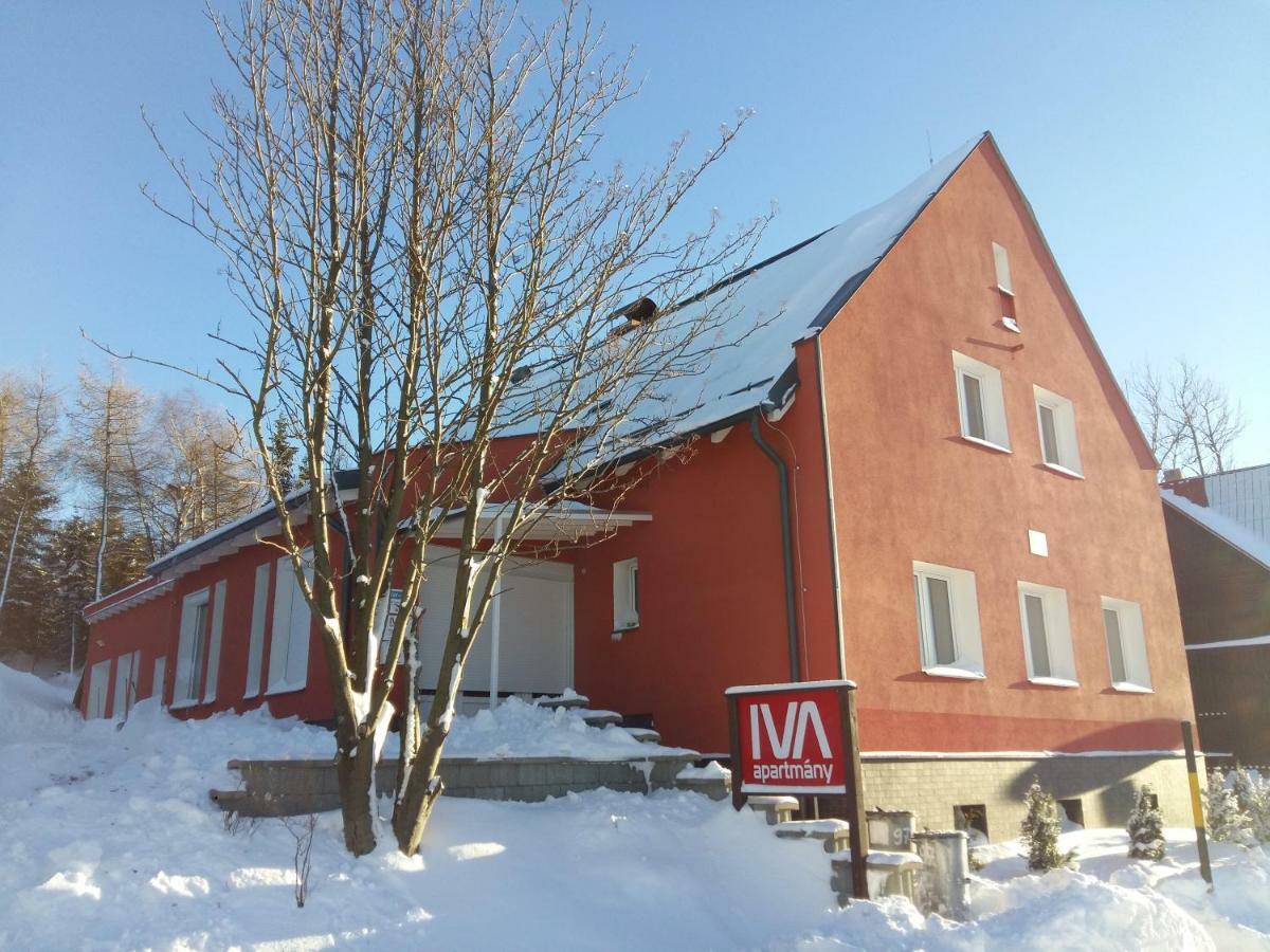 Aparthotel Ferienhaus Iva - Klinovec Loučná pod Klínovcem Exterior foto